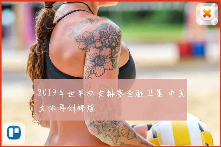 2019年世界杯女排赛全胜卫冕 中国女排再创辉煌