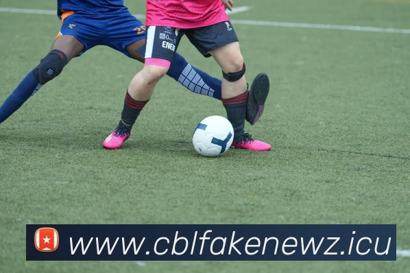 九游体育下载官网(中国)有限公司 - 官网服务体系